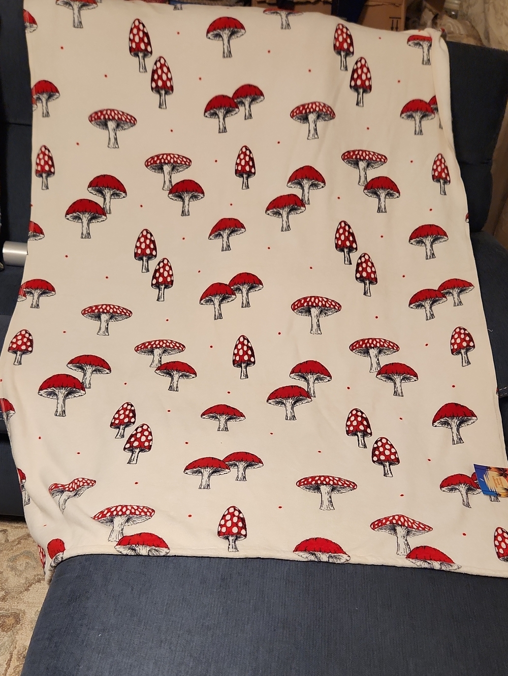 Arkwright Beach Curocao Red Mushroom Print Cotton Beach Towels 40"x58"